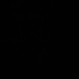 Meet your Posher, Michenaelle